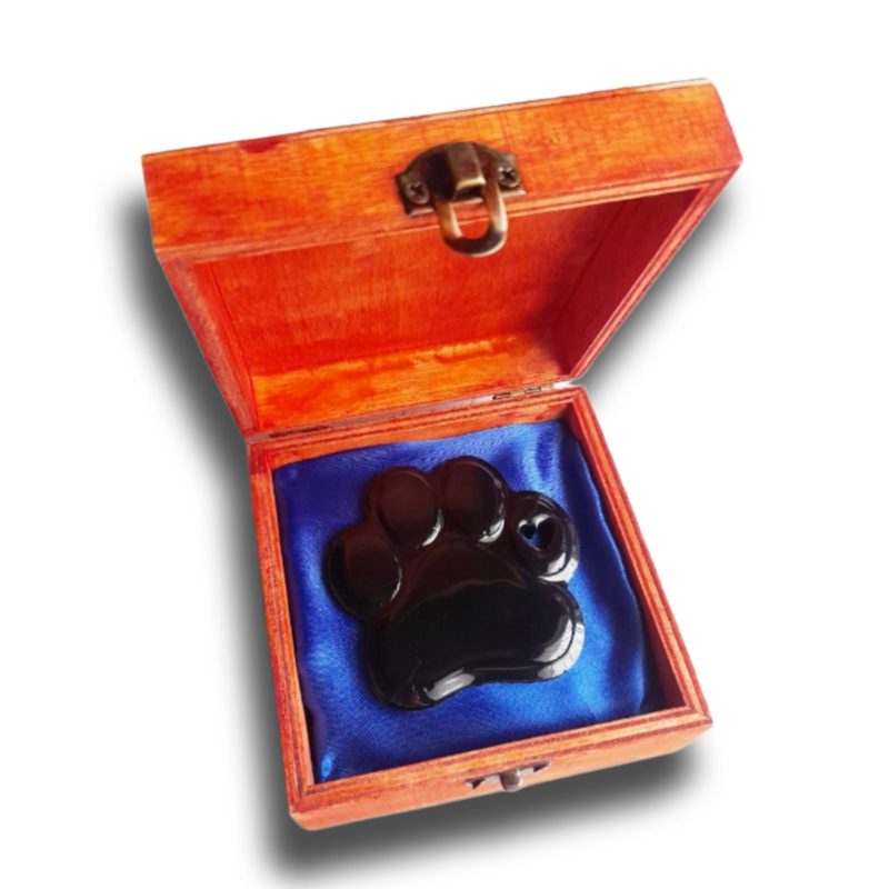 Cajas CHO31 